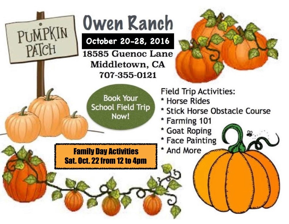 Local Pumpkin Patch + Family Day Activities this Saturday!